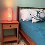 Tartaruga Ubatuba